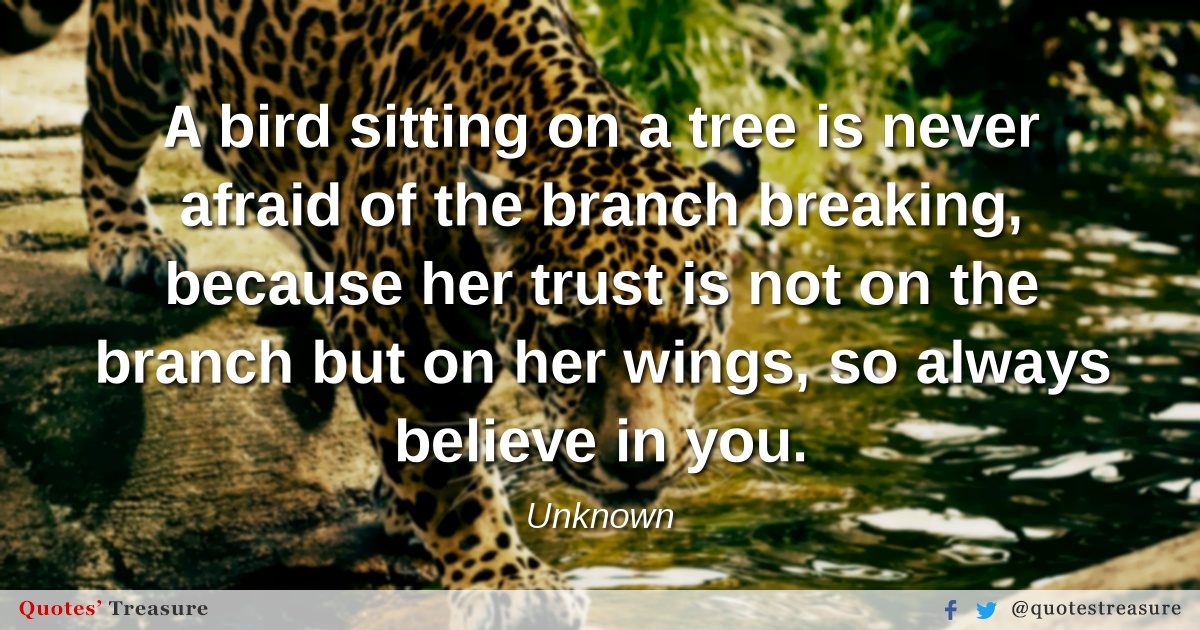 A Bird Sitting On A Tree Is Never Afraid Of The Branch